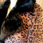 THE 'LEONA' EXQUISITELY SOFT PLUSH LEOPARD FAUX FUR COAT IN PINK OR BEIGE