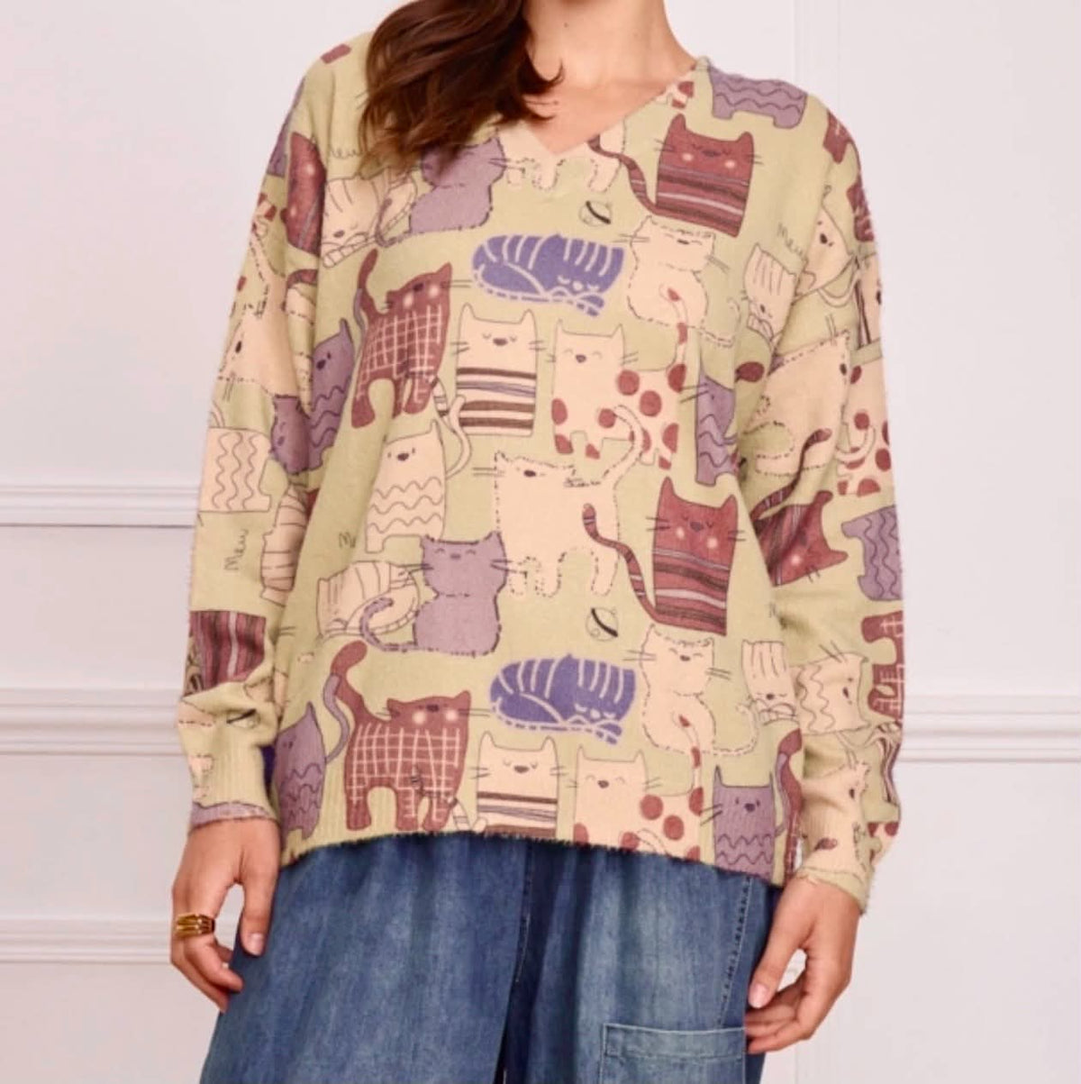 THE 'KOZY KATZ' SUPER SOFT V NECK KNITTED JUMPER WITH A QUIRKY CAT PRINT