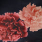 Chi Chi London Size 10 Stunning 50's Style Peony Print Bardot Neck Dress