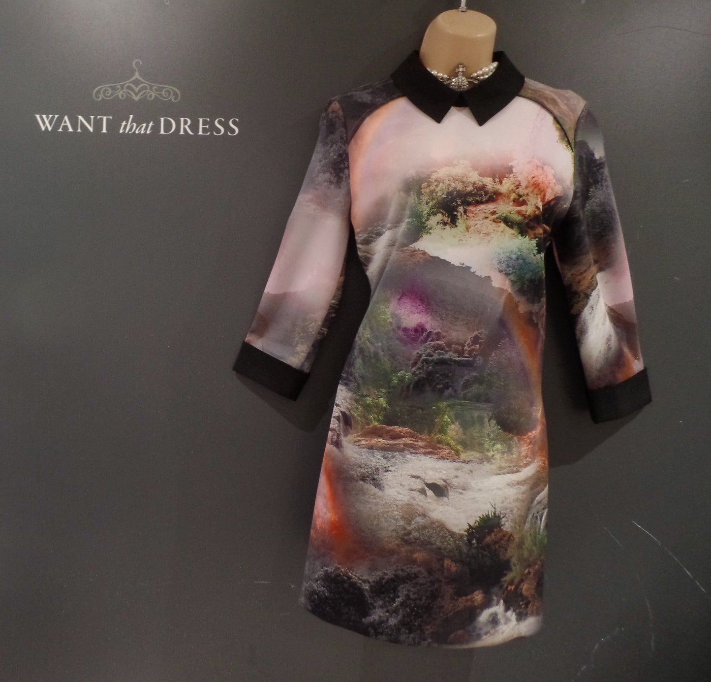 Ted Baker Size 2 (UK 10) Beautiful Country Scenes Print Collared Scuba Dress