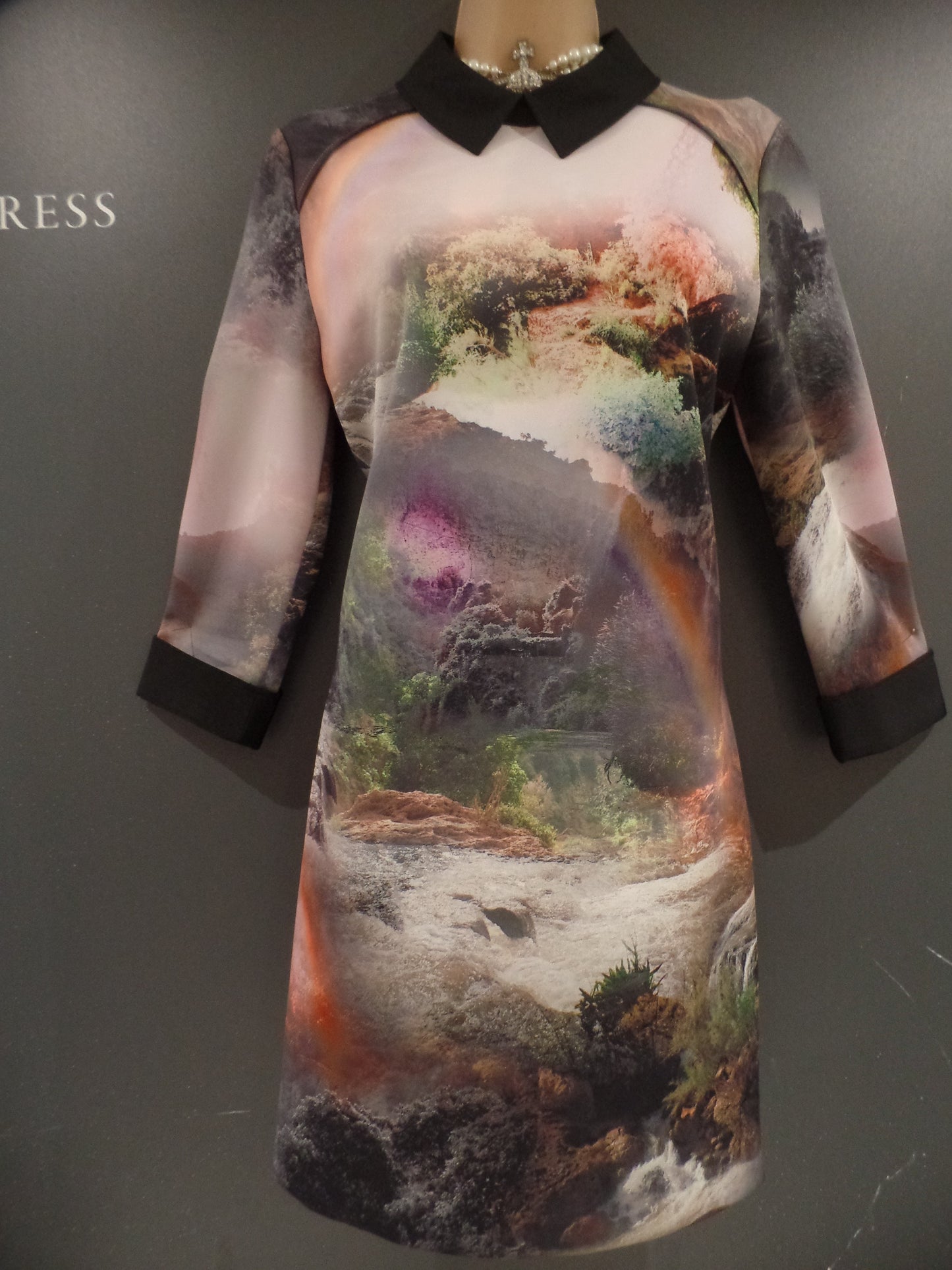 Ted Baker Size 2 (UK 10) Beautiful Country Scenes Print Collared Scuba Dress