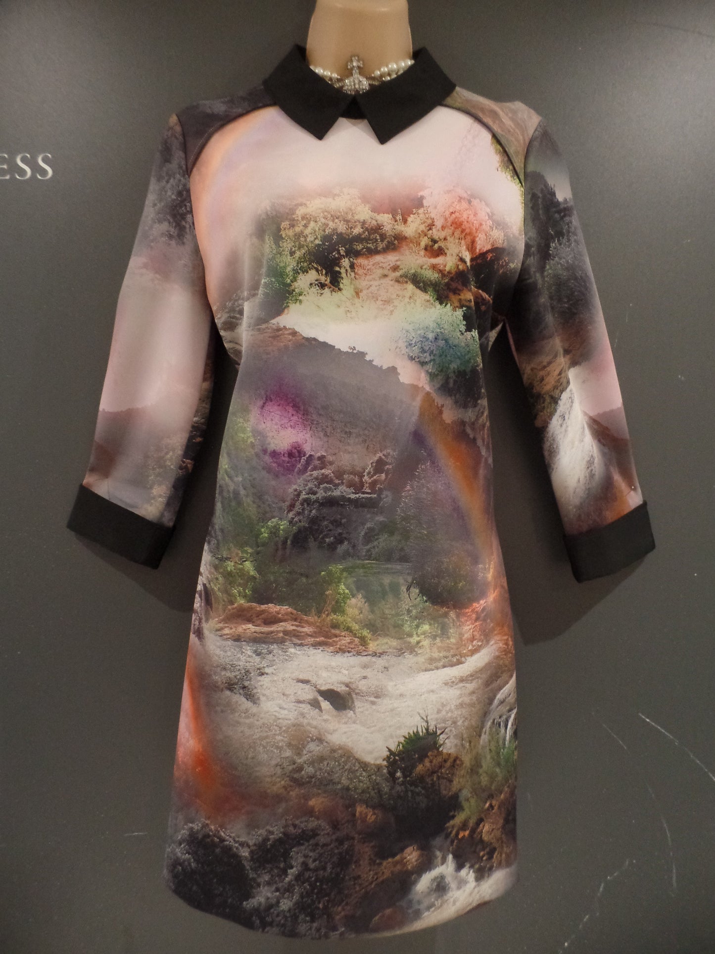 Ted Baker Size 2 (UK 10) Beautiful Country Scenes Print Collared Scuba Dress