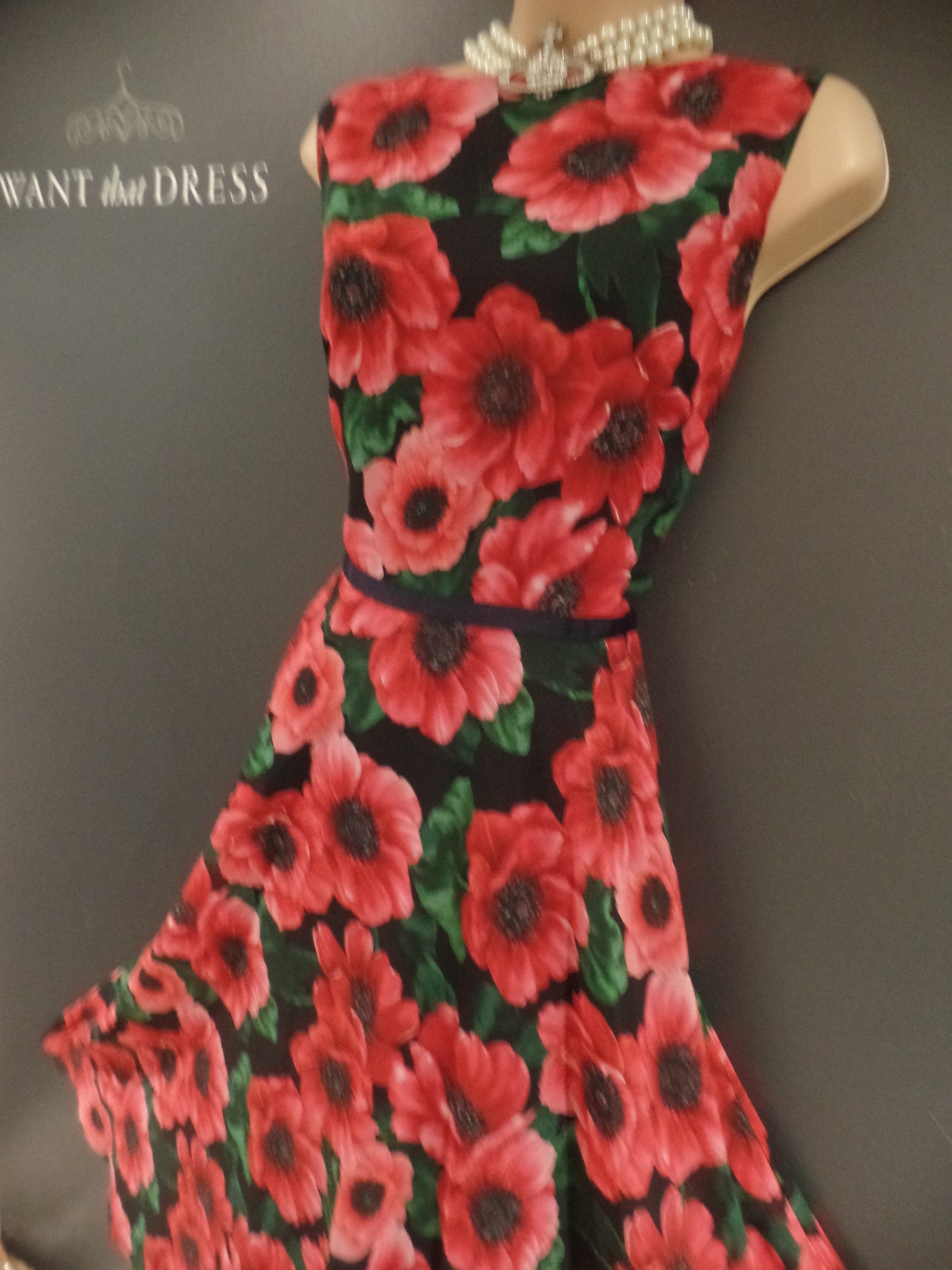 Hobbs Size 14 Vibrant Poppy Print Swishy Chiffon Vintage Style Dress